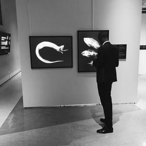 Meet your Posher, Igor